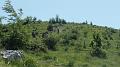 SAM_9880