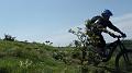 SAM_9882