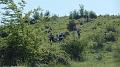 SAM_9885