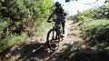SAM_9887
