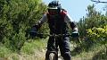 SAM_9894