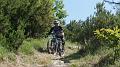 SAM_9895