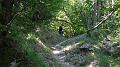 SAM_9901