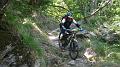 SAM_9903