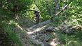 SAM_9904