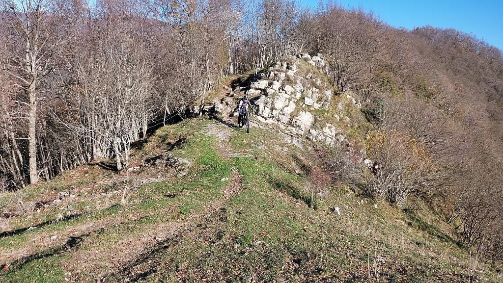 20201106_140252.jpg