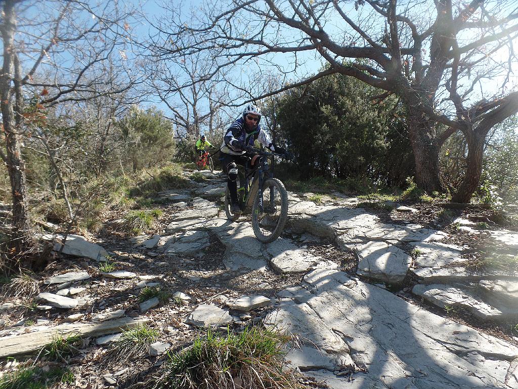 SAM_9252.jpg - SAMSUNG CAMERA PICTURES