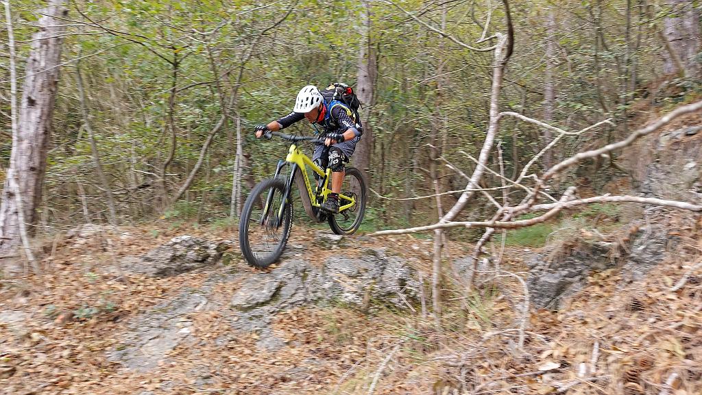 20201020_153550.jpg