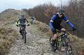 SAM_9179
