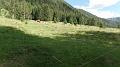 SAM_0069