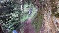 SAM_0079