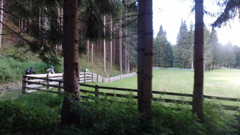 SAM_0095.JPG