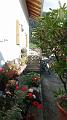 SAM_0089