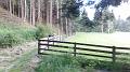 SAM_0096