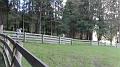 SAM_0097