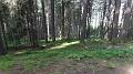 SAM_0111