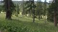 SAM_0118
