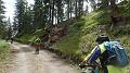 SAM_0174