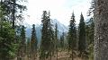 SAM_0175