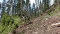 SAM_0181