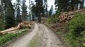 SAM_0182