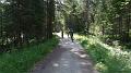 SAM_0216