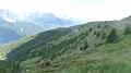 SAM_0250