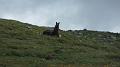 SAM_0291