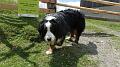 SAM_0318