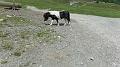 SAM_0321