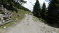 SAM_0323