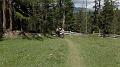 SAM_0347