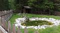 SAM_0380