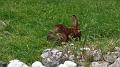 SAM_0381