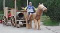 SAM_0390