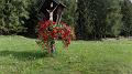 SAM_0421