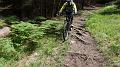 SAM_0456