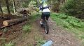 SAM_0458