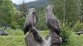 SAM_0469