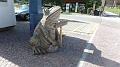 SAM_0485