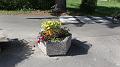 SAM_0487