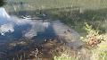 SAM_0494