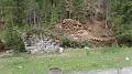 SAM_0503
