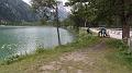 SAM_0519