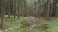 SAM_0541