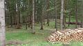 SAM_0543
