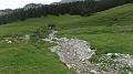 SAM_0567
