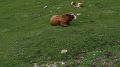 SAM_0583