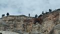 SAM_0589