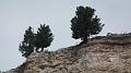 SAM_0590